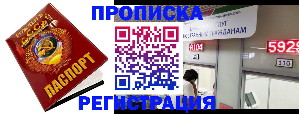 регистрация в Славгороде